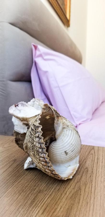 City Center Cute And Comfy Apartment - Ajia Apartments ティラナ エクステリア 写真